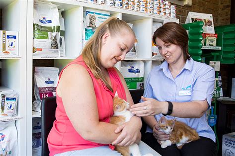 cranbourne vet|Home .